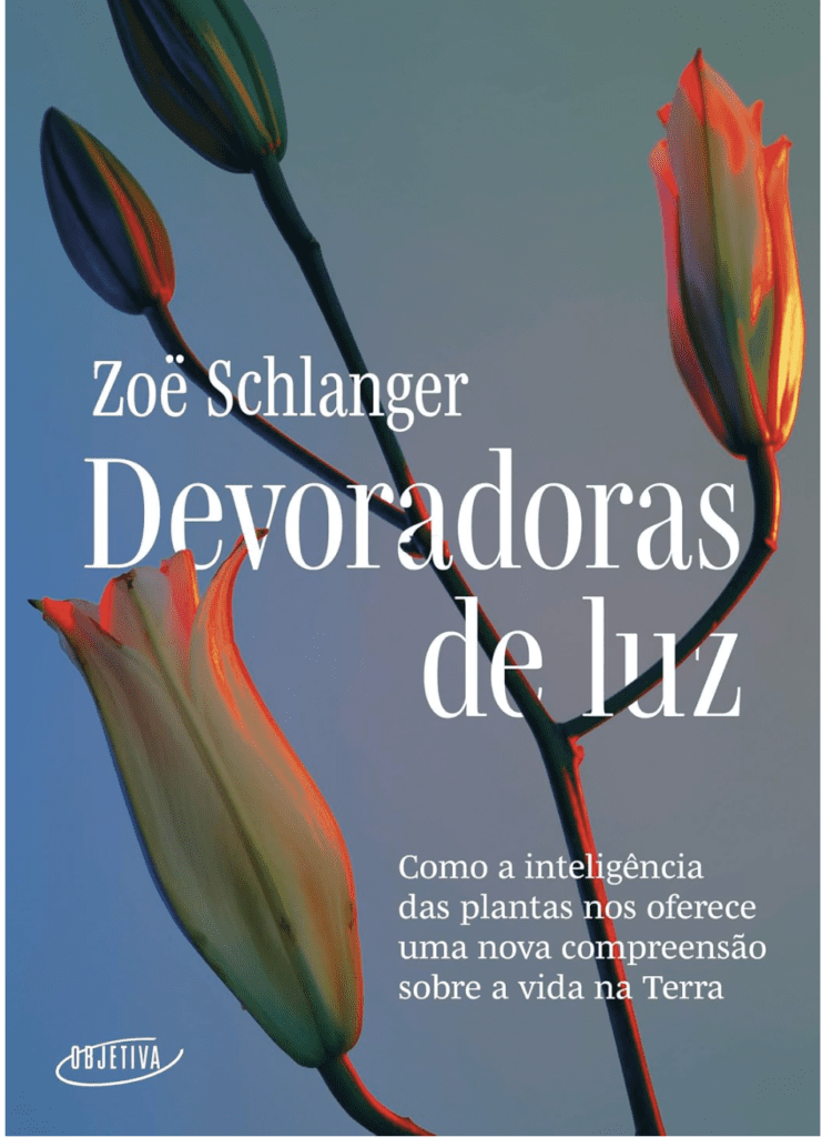 Devoradoras de Luz”, de Zoë Schlanger