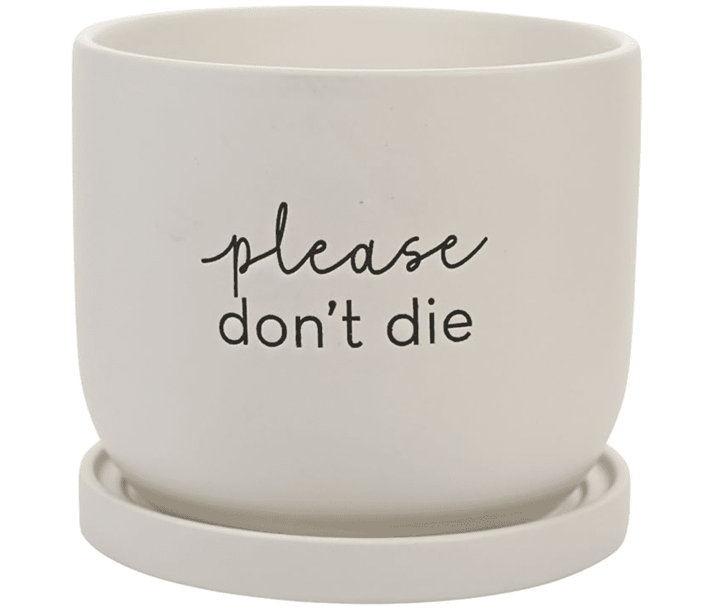 Vaso de cerâmica branco imaculado grande 