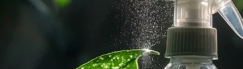 a pior hora para regar as plantas