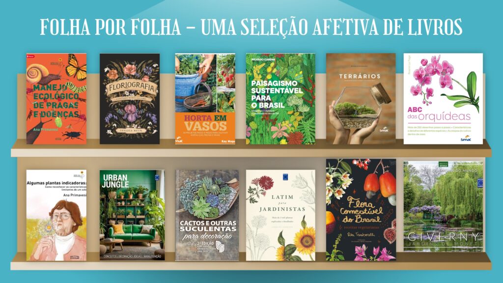 folha por folha