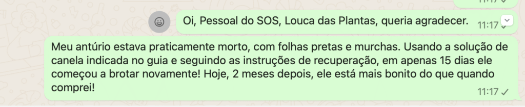 prova social