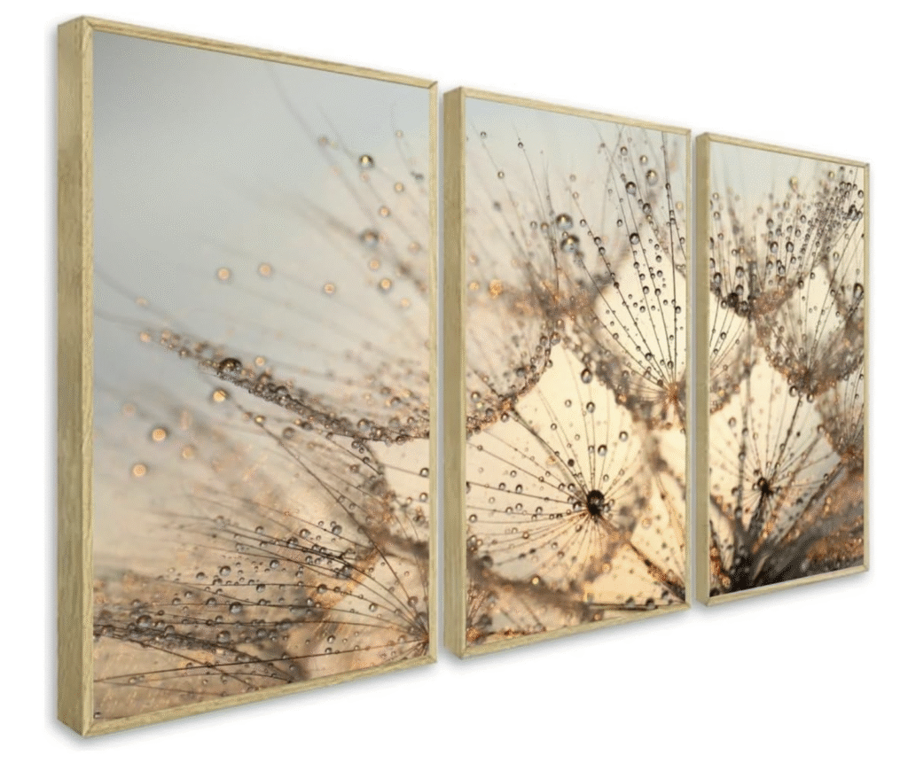 quadro dente de leao