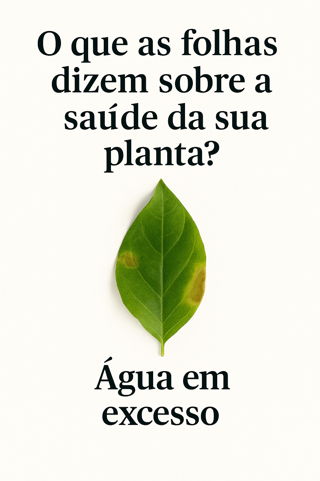 guia sos plantas