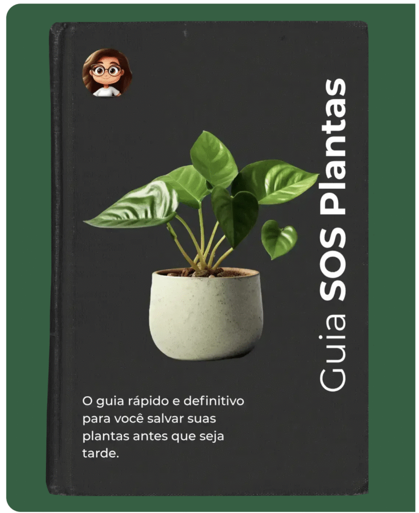 comportamento da planta