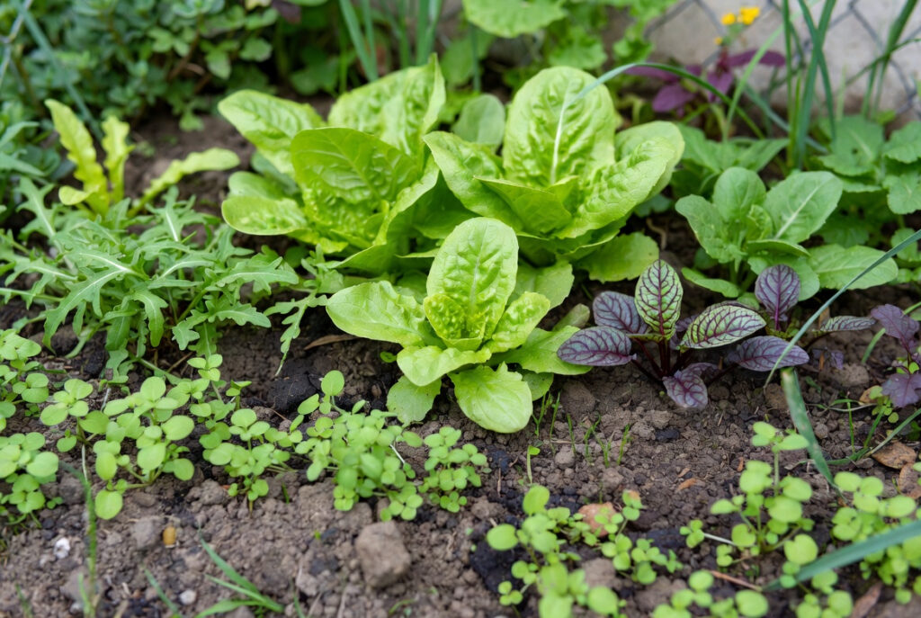 2275db73 bddd 43bb 85d6 2d2ab1942b1e