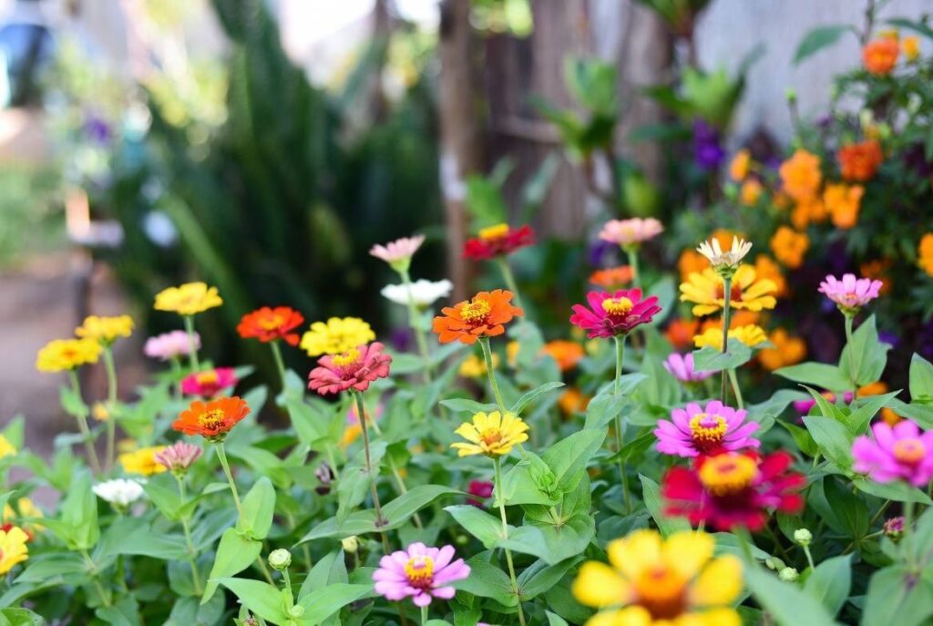 28b601fb 3128 458c b1ff be35f32801bf