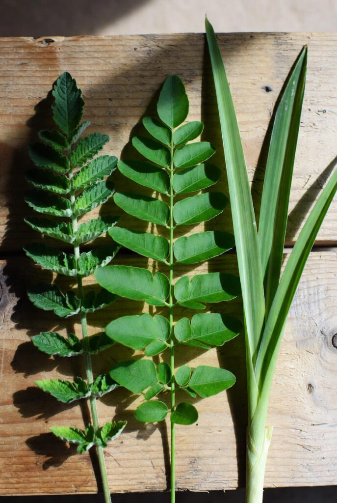 85c7ab04 39e1 4215 ad2b 604de385ab3f