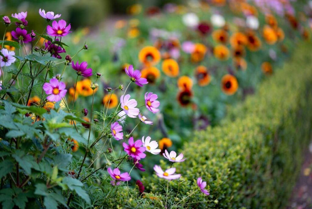 a7fca9eb c79a 4847 b1a5 d0962326c364