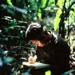 Pataxó Hã-Hã-Hãi