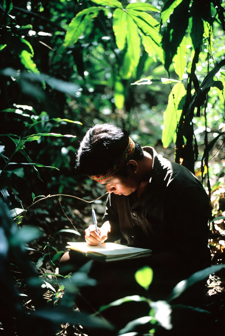 Pataxó Hã-Hã-Hãi