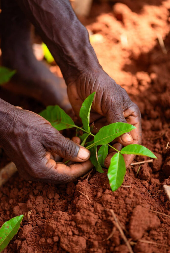 e3ece034 a5bd 4fe6 85e3 da5f52069db3